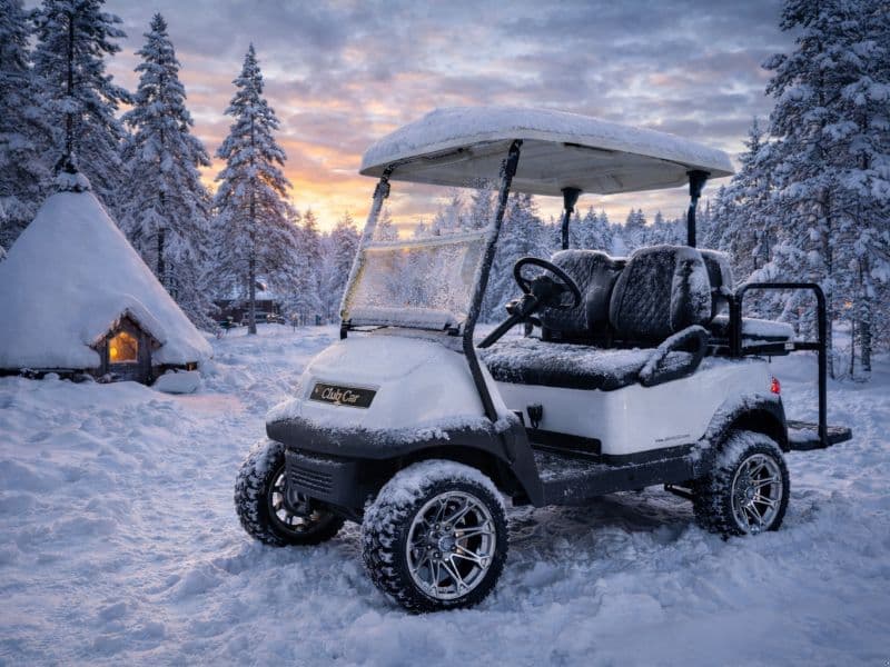 Club Car Precedent White Line Exclusive