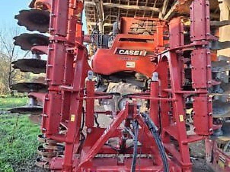 Horsch joker 5 ct