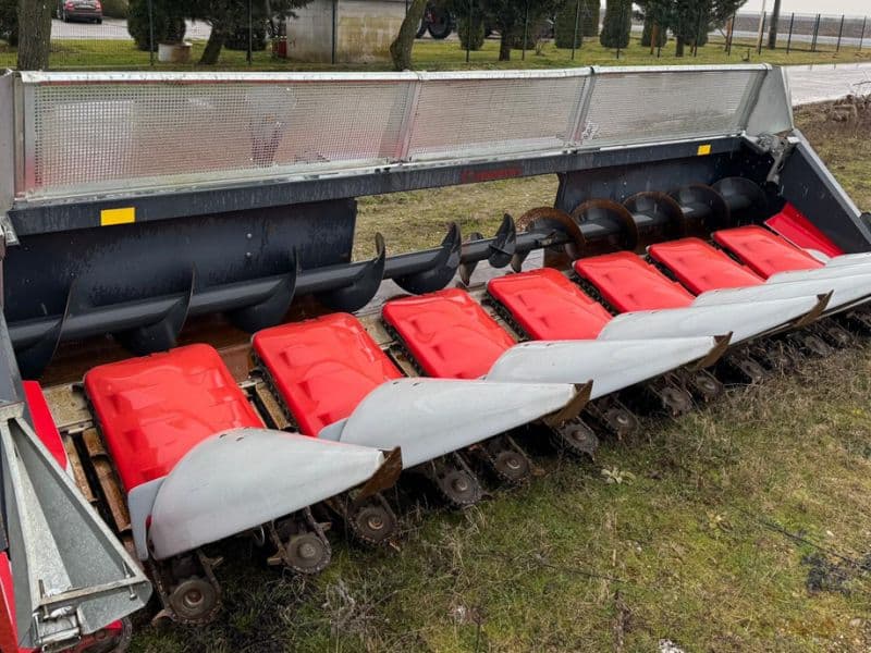 Dominoni Kaiman S978 B