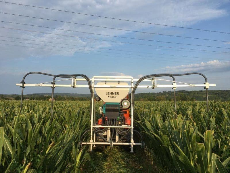 Lehner Vento II für Grasuntersaat im Mais
