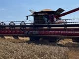 Case IH Axial Flow 8230 - Afbeelding 2