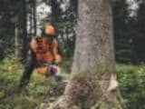 Stihl BENZINMOTORSÄGE MS 400.1M / 45 cm - Afbeelding 3