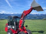 Grizzly 810 Plus Teleskop Lader - Afbeelding 3