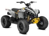 Can Am Renegade 2x4 110-4ST GY Int23 KINDER ATV - Afbeelding 1