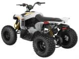 Can Am Renegade 2x4 110-4ST GY Int23 KINDER ATV - Afbeelding 2