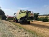 Claas LEXION 740 TIER 4I - Afbeelding 2