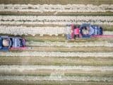 Case IH Axial Flow AF10 - Afbeelding 2