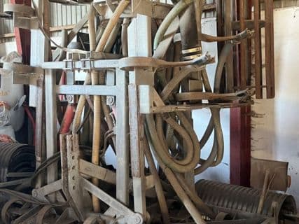 Samson gyllenedfælder