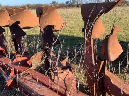 Naud 5 furet-  ENGROS SÆLGES FOR KUNDE