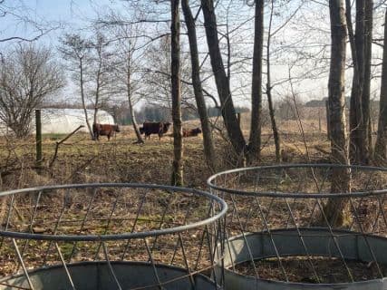 Høhække til får 2 stk.