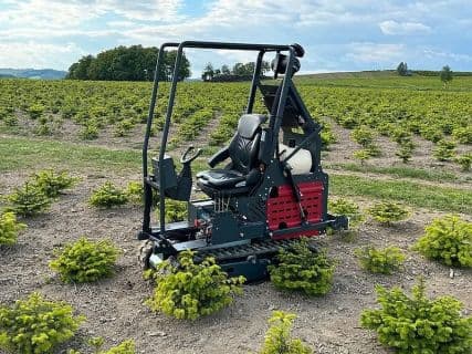 Niko Raupe Mähraupe Mulchraupe Weihnachtsbaumraupe Weihnachtsbäum